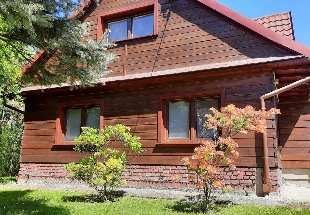 Domek Zacisze Laskowa  Exterior foto